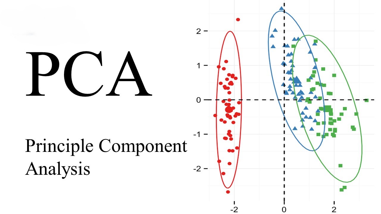 Unveiling the Power of Principal Component Analysis (PCA)